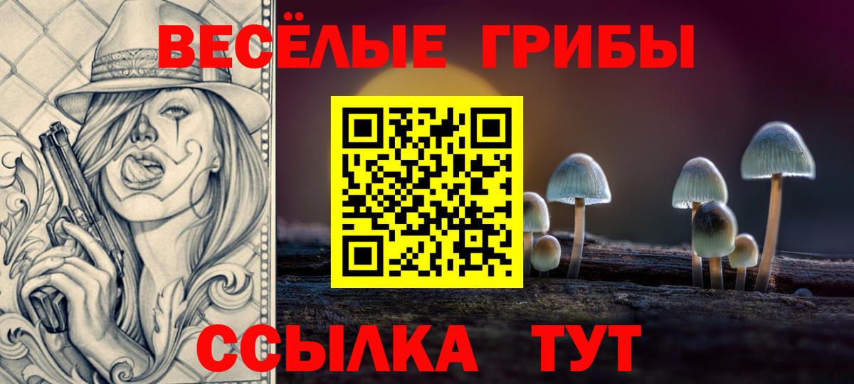 дарнет шоп  Галлюциногенные грибы Psilocybe  Галлюциногенные грибы Psilocybine cubensis  Вход с VPN  Мелеуз 