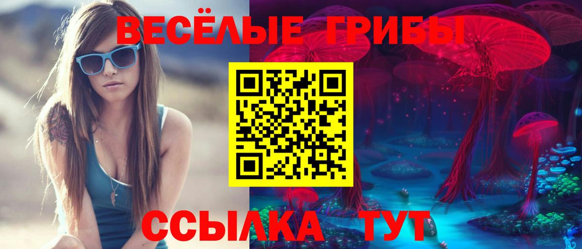 Галлюциногенные грибы Psilocybine cubensis Мелеуз